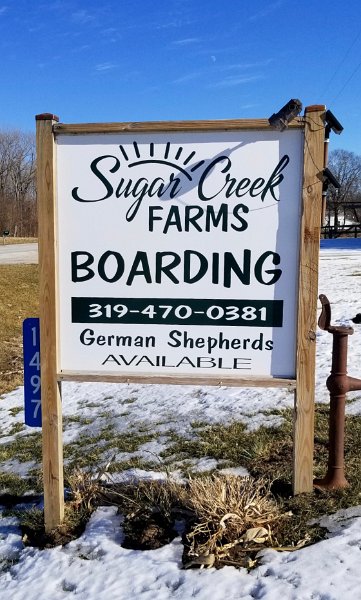 Sugar Creek Farms Boarding | German Shepherds Available